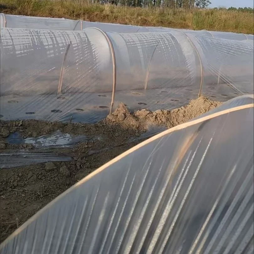 Transparent Mulch Film suppliers