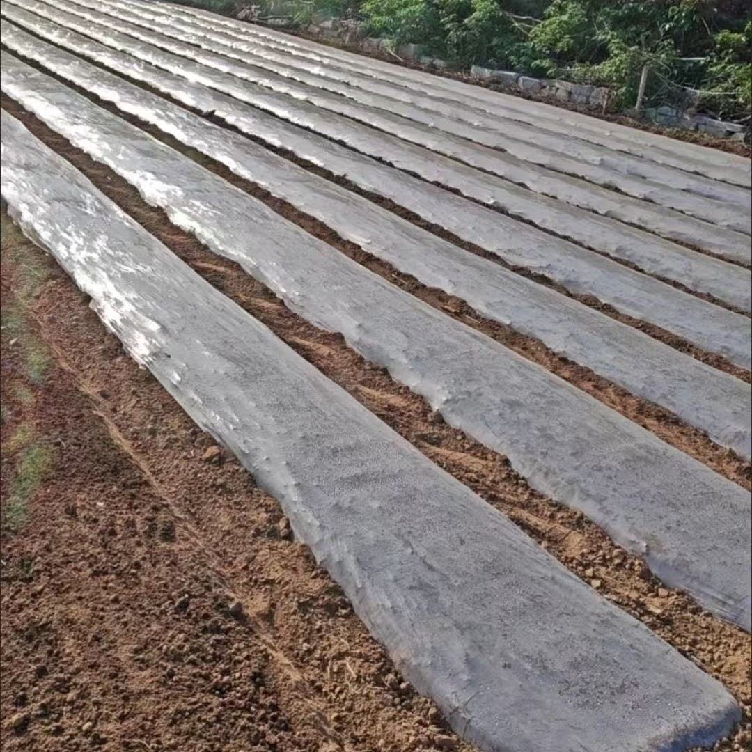 Transparent Mulch Film best