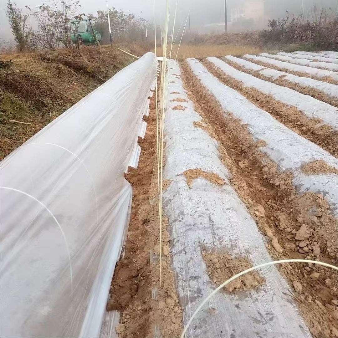 Transparent Mulch Film factory